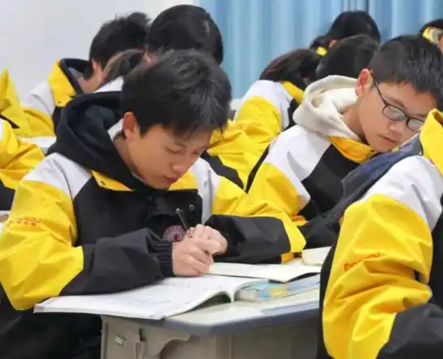 双减政策的落地由于这愈
