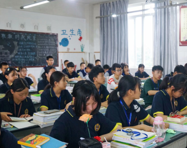 实际操作在内的多样化职