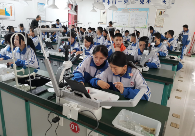 教育无需照搬城市形式完