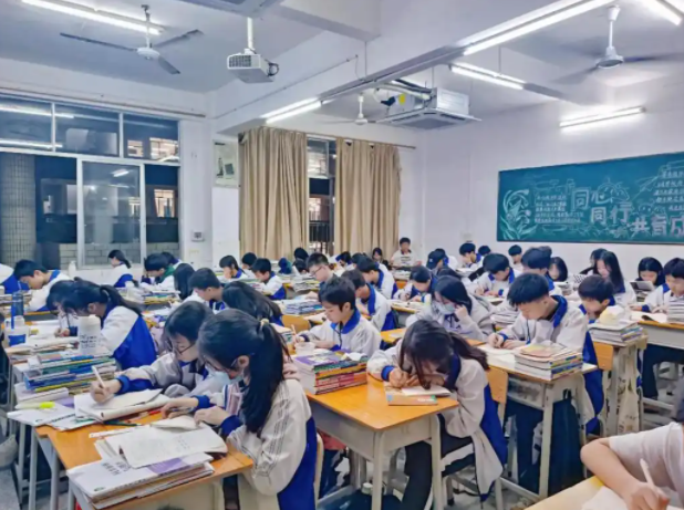 积极构建德智体美劳全面