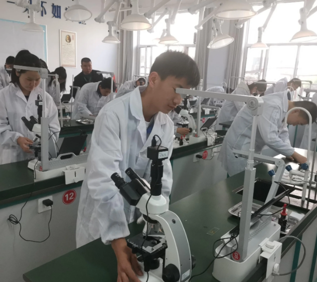 研讨方向是科学教育需求