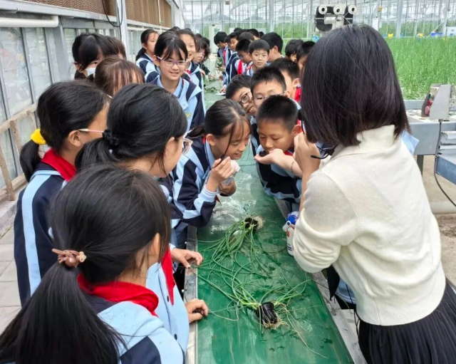 高质量新征程上奋力书写