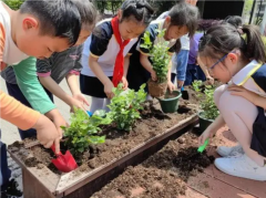 茉香育心性清廉促成长校